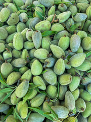 lots of nuts almond vitamins taste for food as background