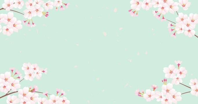 falling cherry-blossoms backgrounds(endless loop)