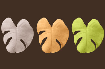 Top veiw, Bright fresh colourful three monstera leaf isolated on brown background for stock photo...