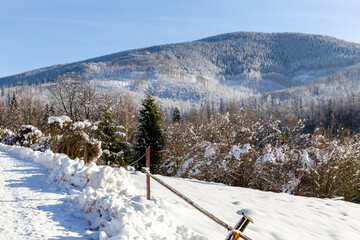 Winter landscape of Beskid Mountains with Romanka peak and coniferous forest and meadow with wooden fence, covered with snow, Wegierska Gorka, Poland.