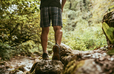 one man walking in the forest