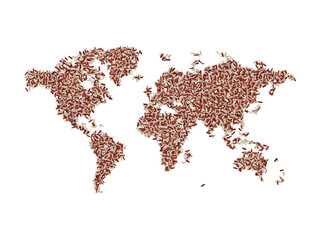 Map of the world made with a mix of red and white rice grains on a white isolated background. Export, production, supply, agricultural or health concept.