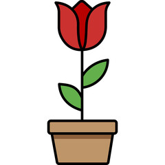 Flower

