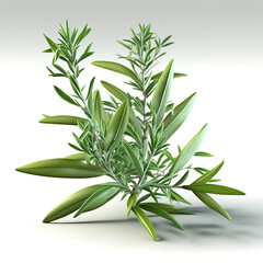 Fototapeta premium Tarragon plant isolated on white background. Generative AI