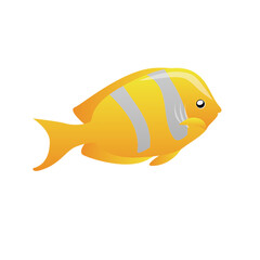 fish isolated on white background