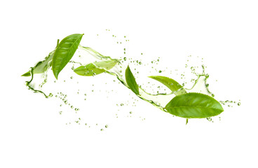 Realistic herbal tea splash, green leaves, water