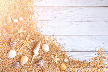Sand seashells background. Summer time concept with sea shells and starfish on wooden background...