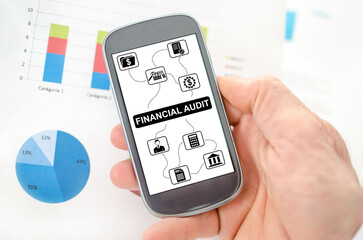 Financial audit concept on a smartphone