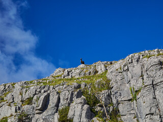 Landscape of the The Burren in Ireland.