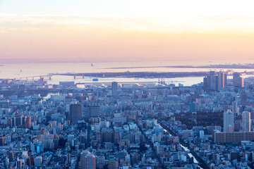 Naklejka na ściany i meble 夕方の東京湾と東京の街並みの風景