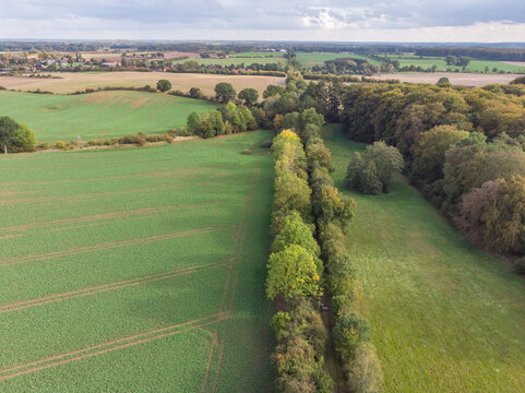 Aerial view of a couple using a draisine along an abandoned railway