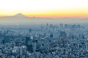 夕方の富士山と東京の街並み