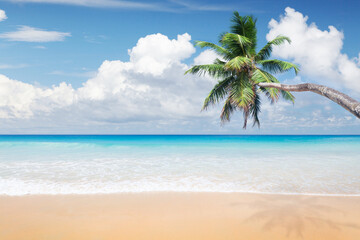Naklejka na ściany i meble Sea, sand beach and palm tree