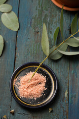 Cuttings of eucalyptus with rooting agent, top view