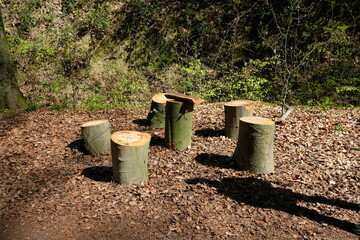 FU 2022-04-18 Drachenfels 16 Im Wald ist eine Picknickzone aus Baumstämmen