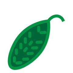 Leaf Flat Icon