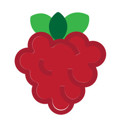 Raspberry Flat Icon
