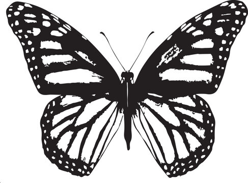 black butterfly drawing, wall art, painting, t-shirt print, vector, eps file