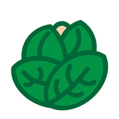 Cabbage Flat Icon