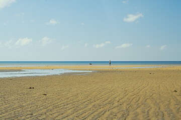 beach and sea
