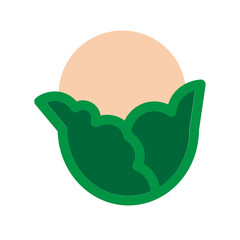 Cauliflower Flat Icon