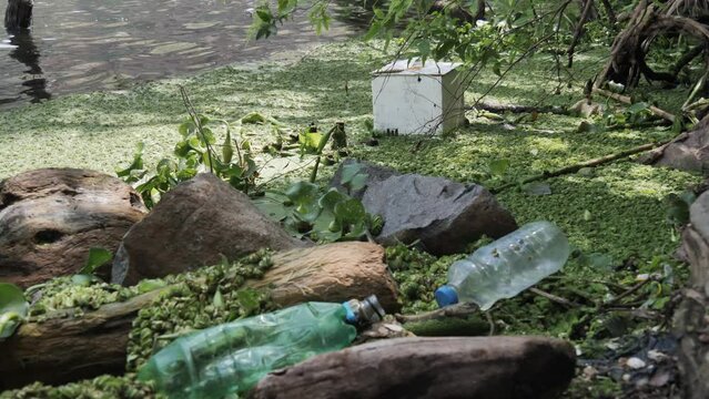Trash refuse gathers with Kariba weed on lake surface near shore