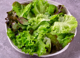 Green salad with three types of lettuce leaf on the white plate. Healthy eating