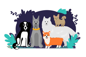 large dogs border set, front view spitz, french mastiff, labrador banner for landing page with goods for dogs