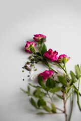 Fototapeta premium Old flowers from a bouquet. Making a bouquet.