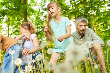 Girl blowing dandelion and exploring with family in forest