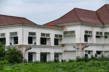 An unused white building whose yard is filled with shrubs