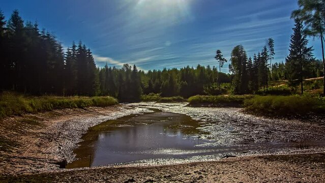 Small natural lake gradually drying up on sunny day in rural landscape. Timelapse