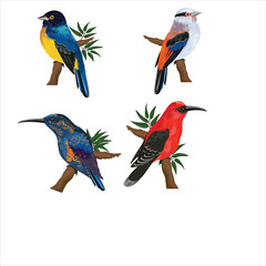 Naklejka premium set of birds isolated.set of birds.free vectors fill dounlocde.birds vactors fill.bast birds vactors fills .