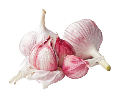 garlic on transparent background. png file