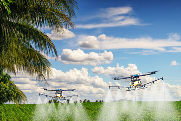 drones for agriculture and forestry spray chemicals in the farm