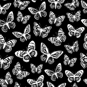 White butterflies on a black background. Pattern with butterflies.