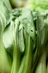 Obraz premium Fresh organic bok choy from local farmers market in spring season, Sustainability concept