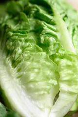 Fresh organic cos or romaine lettuce, Green texture background