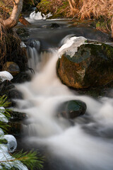 Natural stream in the forest in winter