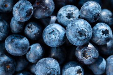 Blueberries macro, fresh berry fruits. 