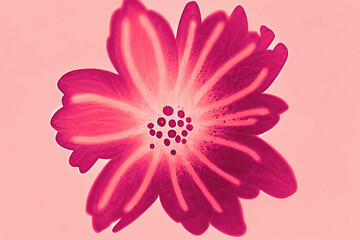 Petal flower art design