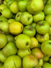 a green apples ripe fruits large quantities