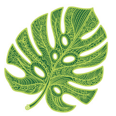 Monstera green leaf line style abstract design decoration. Vector monstera decoration isolated on white background for print. © GeraKTV