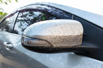 Close-up insects, bug and mosquitoes died damage squashed on side mirror car or truck. Car cleaning or washing business background.