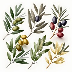 Obraz na płótnie Canvas set olive branch on white background