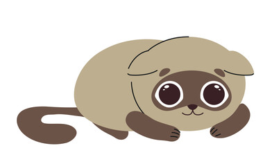 Cute domestic animal