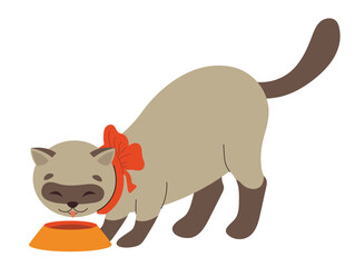 Cute domestic animal