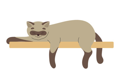 Cute domestic animal