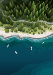 Sea and forest in a summer nature landscape from top. Vector illustration