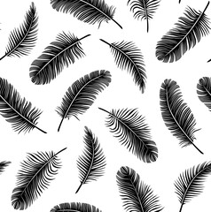 Pattern with black feathers on a white background. Suitable for curtains, wallpapers, fabrics, wrapping paper.